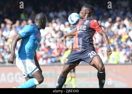 Napoli, Italia. 15th maggio 2022. Caleb Ekuban in azione durante la Serie A 2021/22 partita tra SSC Napoli e FC Genova Diago Armando Maradona Stadium Credit: Independent Photo Agency/Alamy Live News Foto Stock