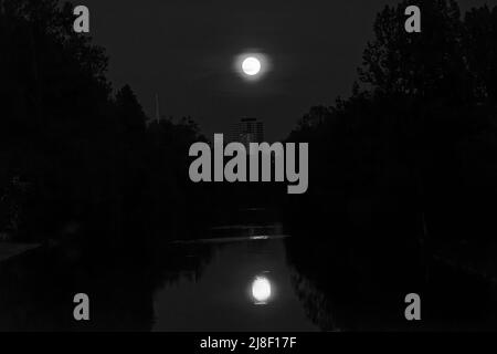 Vollmond über Steinhuder Meer. Foto Stock