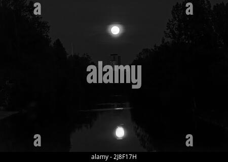 Vollmond über Steinhuder Meer. Foto Stock