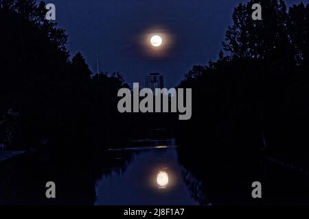 Vollmond über Steinhuder Meer. Foto Stock