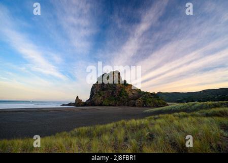 Lion Rock a Piha Beach, Nuova Zelanda Foto Stock