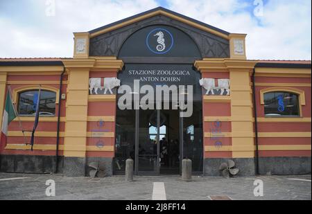 Portici, Napoli, Italia. 25th Apr 2022. La Stazione Zoologica di Anton Dohrn va certamente considerata un'eccellenza porticese; quindi Portici in provincia di Napoli diventa ufficialmente "Centro di Ricerca - Osservatorio del Golfo di Napoli" e "Turtle Point", Un prestigioso e importante centro di ricerca nel campo della biologia marina ed ecologia fondato nel 1872 e situato nell'area dell'ex municipio di macello dell'età borbonica a pochi passi dal porto di Granatello. (Credit Image: © Bruno Fontanarosa/Pacific Press via ZUMA Press Wire) Foto Stock