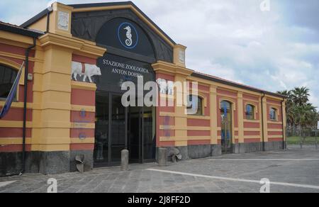 Portici, Napoli, Italia. 25th Apr 2022. La Stazione Zoologica di Anton Dohrn va certamente considerata un'eccellenza porticese; quindi Portici in provincia di Napoli diventa ufficialmente "Centro di Ricerca - Osservatorio del Golfo di Napoli" e "Turtle Point", Un prestigioso e importante centro di ricerca nel campo della biologia marina ed ecologia fondato nel 1872 e situato nell'area dell'ex municipio di macello dell'età borbonica a pochi passi dal porto di Granatello. (Credit Image: © Bruno Fontanarosa/Pacific Press via ZUMA Press Wire) Foto Stock