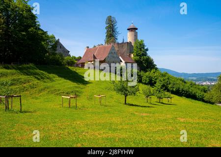 Il Castello di Birseck (Burg Birseck) si trova nel comune di Arlesheim, nel cantone di Basilea-Paese. Svizzera. Il Castello di Birseck si trova su una Foto Stock