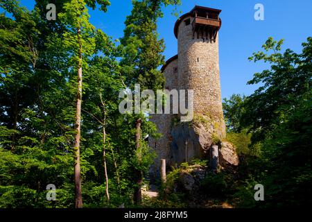 Castello di Reichenstein (Arlesheim) nel comune di Arlesheim nel cantone di Basilea-Terra in Svizzera. Foto Stock