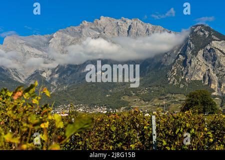 Regione del vino di Chamoson di fronte alle scogliere del Haut De Cry Summit, Chamoson, Vallese, Svizzera Foto Stock