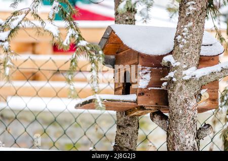 Birdhouse carino in un albero baldacchino coperto di neve. Foto Stock