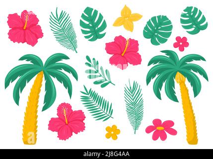 Un insieme di foglie e fiori tropicali ed esotici. Palma, hibiscus, plumeria. Illustrazioni vettoriali botaniche brillanti in stile piatto. Isolato su bac bianco Illustrazione Vettoriale