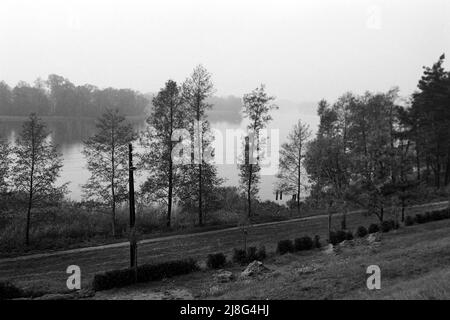 Am Laubener See bei Grunwald, Wowoidschaft Ermland-Masuren, 1967. Al lago di Lubien vicino Grunwald, Voivodato Warmian-Masurian, 1967. Foto Stock