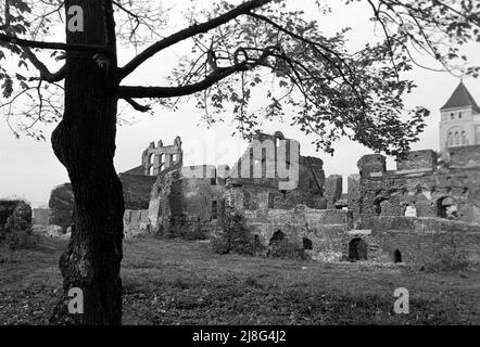 Ruinen in Elbing, Wowoidschaft Ermland-Masuren, 1967. Edifici distrutti a Elblag, Voivodato Warmian-Masuriano, 1967. Foto Stock