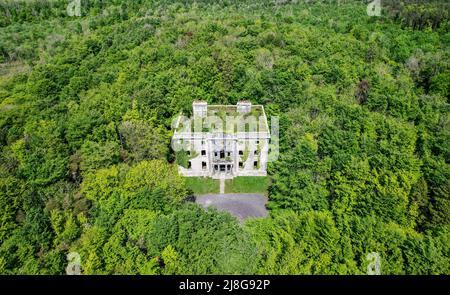 Una grande casa in rovina coperta di edera e circondata da una foresta, Moore Hall si trova nella contea Mayo Irlanda ed è ora un'area pubblica Foto Stock