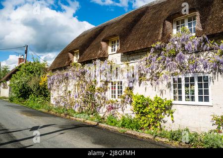 Brockhampton inferiore. Un villaggio bucolico nel cuore del Dorsetshire. Foto Stock