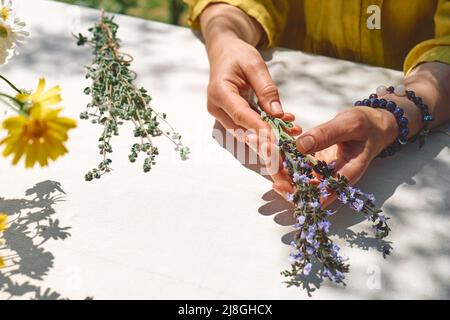 Medicina alternativa. Raccolta ed essiccazione di erbe. Donna che tiene nelle sue mani un mazzo di salvia flowers.Herbalist donna che prepara fresco organo profumato Foto Stock