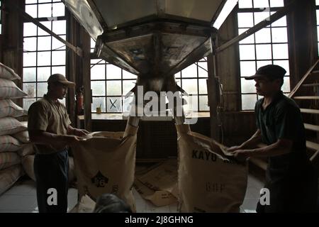 Lavoratori che impacchettano la polvere di tè in sacchi di carta presso la fabbrica di tè Kayu Aro nel villaggio di Kersik Tuo, Kayu Aro, Kerinci, Jambi, Indonesia. Foto Stock