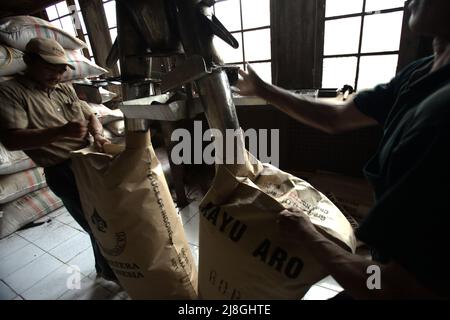 Lavoratori che impacchettano la polvere di tè in sacchi di carta presso la fabbrica di tè Kayu Aro nel villaggio di Kersik Tuo, Kayu Aro, Kerinci, Jambi, Indonesia. Foto Stock