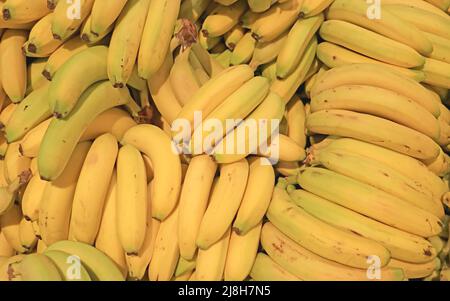 Mucchio di banane fresche mature da vendere sul mercato Foto Stock
