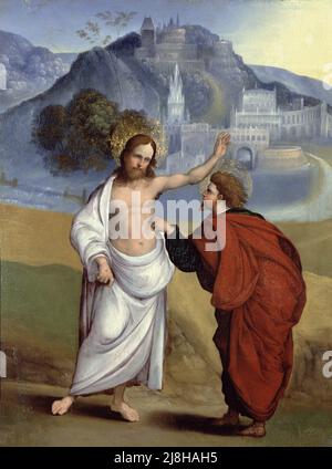 Dubitando Tommaso (olio su pannello) di Mazzolino, Lodovico (c.1479-c.1528); Galleria Borghese, Roma, Lazio, Italia; Italiano, fuori copyright. Foto Stock