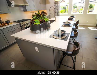 Cucina Island Counter Top con Sink, grande pianta e quattro posti Impostazioni Foto Stock