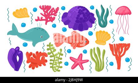 Illustrazione vettoriale delle alghe e degli animali marini. Set vita subacquea. Vita marina isolata su sfondo bianco Illustrazione Vettoriale
