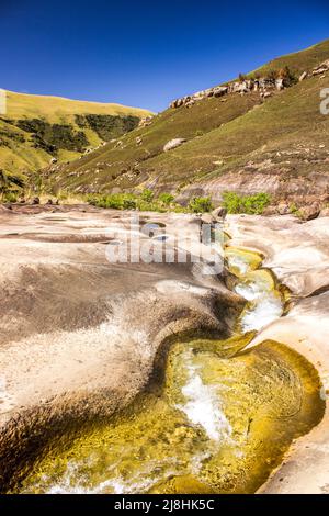 Un piccolo ruscello di montagna che intaglia il suo motivo su un affioramento roccioso nelle montagne Drakensberg del Sud Africa in una giornata estiva limpida e soleggiata Foto Stock