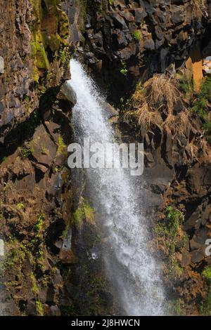 Cascate gemelle di Wailua vicino a Lihue su Kauai, la Garden Island delle Hawaii, Stati Uniti Foto Stock