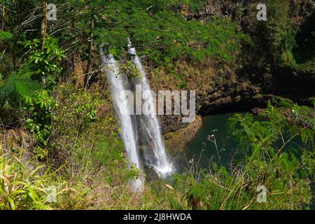 Cascate gemelle di Wailua vicino a Lihue su Kauai, la Garden Island delle Hawaii, Stati Uniti Foto Stock