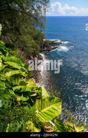 Vista dell'Oceano Pacifico dalla cima di una scogliera vicino alla tomba di Charles Lindbergh nel terreno di sepoltura della Chiesa congregazionale di Palapala ho'omau Foto Stock