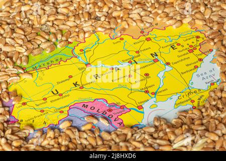 Grani di grano sulla mappa di Ucraina, crisi di grano ucraino, concetto globale di crisi della fame a causa della guerra Foto Stock