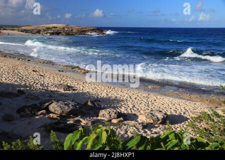 Guadeloupe spiaggia paesaggio. Anse des Chateaux spiaggia di sabbia vista panoramica. Foto Stock