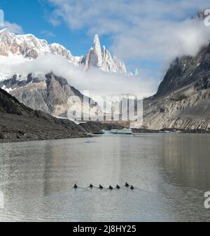 Le anatre nuotano verso le enormi guglie di Cerro Torre Foto Stock