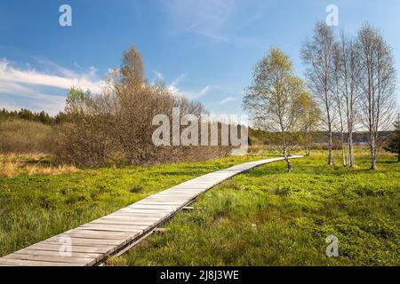 Paesaggio con una passerella - una passerella in legno nelle zone umide intorno allo stagno di Olsina, Repubblica Ceca Foto Stock