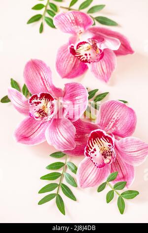 Sfondo floreale con orchidee, concetto minimale. Orchidee di phalaenopsis rosa tropicale su sfondo pastello chiaro. Fiori disposizione. Vista dall'alto. Foto Stock