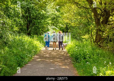 La gente che camminava sulla linea ferroviaria precedente Sandbach a Stoke perse nei tagli di Beeching ma ora usato come il percorso ferroviario o la linea di sale senso Foto Stock