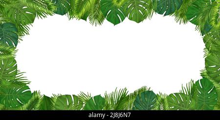 Sfondo tropicale estivo con foglie di palma verdi. Esotico disegno botanico con piante della giungla per invito, banner, poster. Illustrazione vettoriale Illustrazione Vettoriale