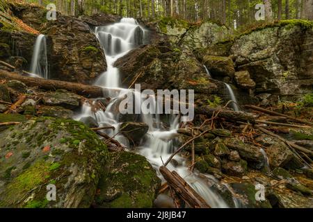 Cascata di Geigenbachfalle vicino alla collina di Groser Arber in Germania in primavera mattina Foto Stock