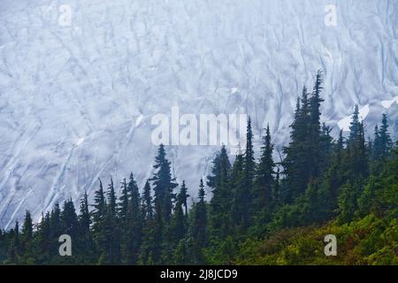 Vista Aeral del ghiacciaio Salmon in nebbia, British Columbia, Canada Foto Stock
