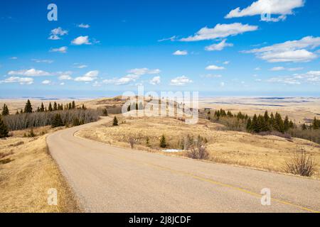 Una strada in Cypress Hills Provincial Park, Albeta, Canada Foto Stock