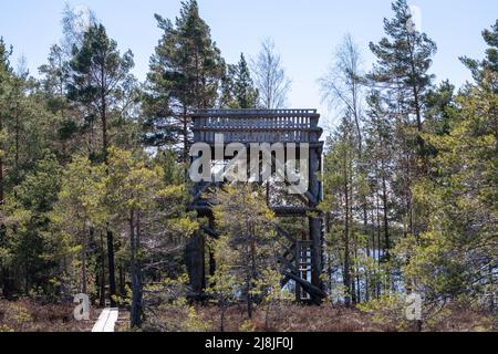 piattaforma di osservazione al bordo del lago palude. bird watching. Foto Stock