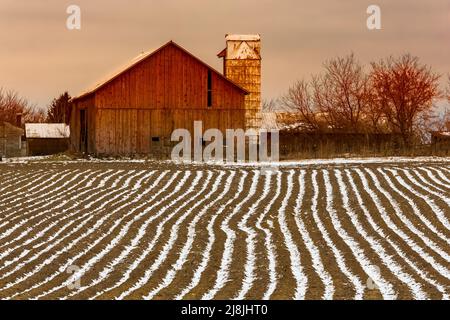 Solchi dell'aratro e un granaio rosso in una giornata invernale lungo M-66, Michigan, USA [Nessuna pubblicazione di proprietà; solo licenza editoriale] Foto Stock