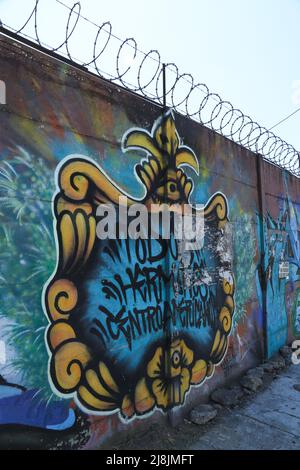 Costa Rica Street art - Graffiti artwork, che mostra un disegno araldico su una parete fortificata con filo spinato. Artista sconosciuto Foto Stock