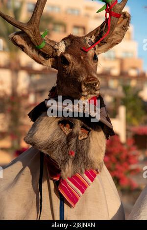 Un fariseo, vestito per la Quaresima in costume cerimoniale, indossa una tradizionale maschera con elmetto sulla testa di un cervo, San Carlos, Sonora, Messico. Foto Stock