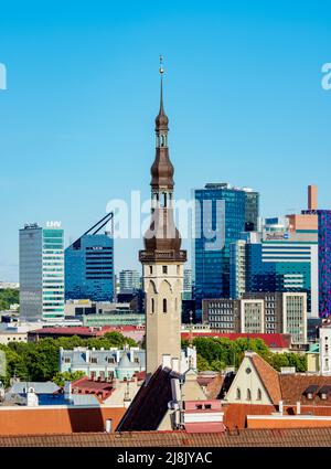 Vista sulla guglia del Municipio verso gli alti edifici, Tallinn, Estonia Foto Stock