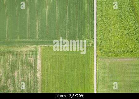 Percorso di campo senza inchinarsi attraverso il verde paesaggio di campo in primavera, vista aerea, 04/21/22, Svizzera, Zuercher Oberland Foto Stock