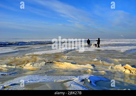 Passeggini con cane sulla spiaggia in inverno, Germania, bassa Sassonia, Dangast Foto Stock