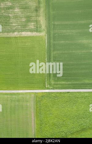 Percorso di campo senza inchinarsi attraverso il verde paesaggio di campo in primavera, vista aerea, 04/21/22, Svizzera, Zuercher Oberland Foto Stock