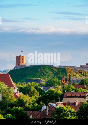 Collina del Castello e Gediminas Torre, Vilnius, Lituania Foto Stock