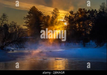 Una mattinata di marcia frigida sul fiume Chippewa nel nord del Wisconsin. Foto Stock