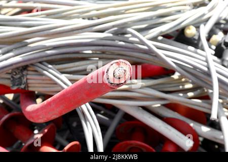 Cavo elettrico per l'elettricità ad alta tensione e si vede il nucleo interno di RAME e altri cavi elettrici nella discarica del riciclabl industriale Foto Stock