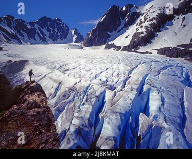 Capolinea del Ghiacciaio Blu, Monte Olympus, Olympic National Park, Washington Foto Stock