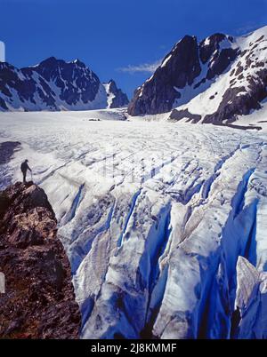 Capolinea del Ghiacciaio Blu, Monte Olympus, Olympic National Park, Washington Foto Stock